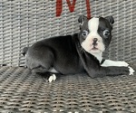 Image preview for Ad Listing. Nickname: Male