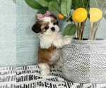 Image preview for Ad Listing. Nickname: Sophie