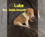 Image preview for Ad Listing. Nickname: Luke