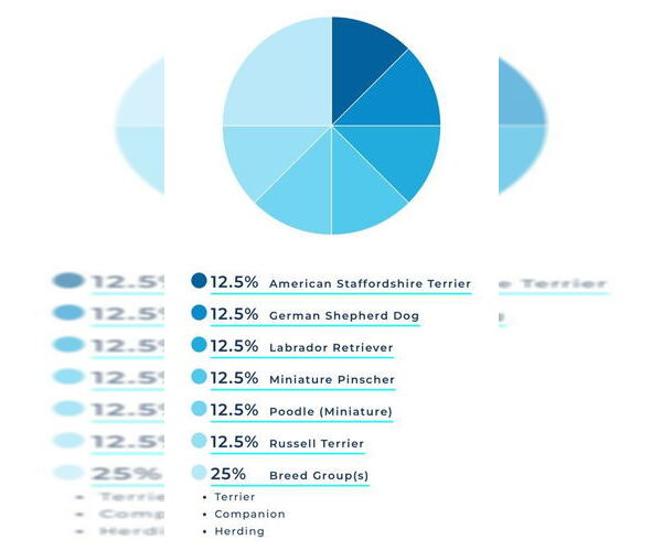 Medium Photo #4 Labrador Retriever-Miniature Pinscher Mix Puppy For Sale in Corona, CA, USA