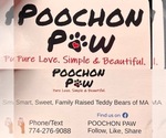 Small #5 Poochon
