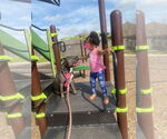 Small Photo #14 American Staffordshire Terrier Puppy For Sale in Rosenberg, TX, USA