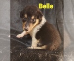 Image preview for Ad Listing. Nickname: Belle
