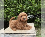 Image preview for Ad Listing. Nickname: Billie