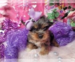 Image preview for Ad Listing. Nickname: Raspberry