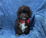 Image preview for Ad Listing. Nickname: Evan
