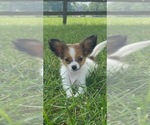 Image preview for Ad Listing. Nickname: Rose