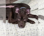 Small #2 Breeder Profile image