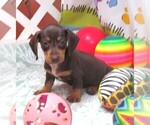 Image preview for Ad Listing. Nickname: Arnold