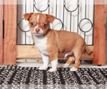 Image preview for Ad Listing. Nickname: Banana