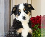 Image preview for Ad Listing. Nickname: Bonnie