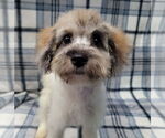 Small #4 Mutt