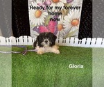 Image preview for Ad Listing. Nickname: Gloria