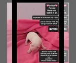 Image preview for Ad Listing. Nickname: Delilah