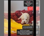 Image preview for Ad Listing. Nickname: Ulla