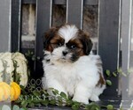 Image preview for Ad Listing. Nickname: Mavis