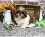 Image preview for Ad Listing. Nickname: Larkspur