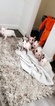 Small Photo #135 Bull Terrier Puppy For Sale in JACKSON, MI, USA
