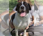 Small #2 Breeder Profile image