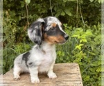Image preview for Ad Listing. Nickname: Kaden