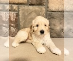Image preview for Ad Listing. Nickname: Tanner