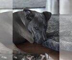 Small #1 Breeder Profile image