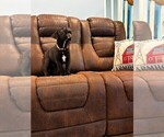 Small Photo #33 Cane Corso Puppy For Sale in REEVESVILLE, SC, USA
