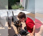 Small #1 Mutt