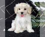 Image preview for Ad Listing. Nickname: EMMY LOU