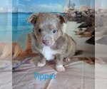 Image preview for Ad Listing. Nickname: TipperACA