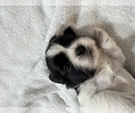 Image preview for Ad Listing. Nickname: Boy Sept 11 Blk