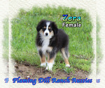 Image preview for Ad Listing. Nickname: Zera