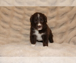 Image preview for Ad Listing. Nickname: Hazel