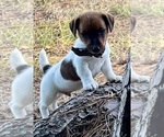 Image preview for Ad Listing. Nickname: Reese