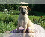 Image preview for Ad Listing. Nickname: Sugar Cone