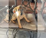 Small #3 Breeder Profile image
