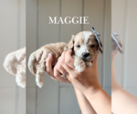 Image preview for Ad Listing. Nickname: Maggie