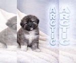 Image preview for Ad Listing. Nickname: Arctic