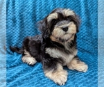 Image preview for Ad Listing. Nickname: MIDNIGHT
