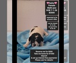 Image preview for Ad Listing. Nickname: Sailor