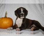 Image preview for Ad Listing. Nickname: Bruce