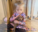 Small #4 Mutt