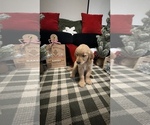  - Photo #4