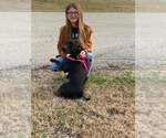 Small #20 American Staffordshire Terrier Mix