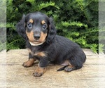 Image preview for Ad Listing. Nickname: Jemma