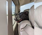 Small #21 American Pit Bull Terrier Mix
