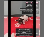 Image preview for Ad Listing. Nickname: Salem