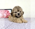 Image preview for Ad Listing. Nickname: Aaron