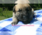 Image preview for Ad Listing. Nickname: Sugar Cone