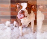Small #2 Breeder Profile image